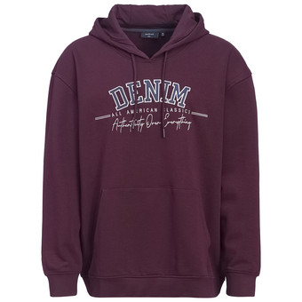 Herren Sweat-Hoodie mit Print