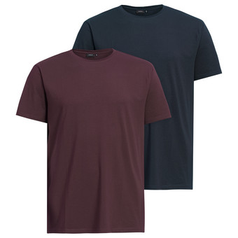 2 Herren T-Shirts mit Rundhalsausschnitt