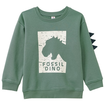 Jungen Sweatshirt mit Dino-Motiv
