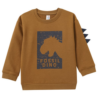 Jungen Sweatshirt mit Dino-Motiv