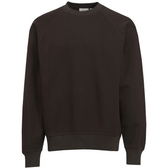 Heren-sweatshirt met raglanmouwen