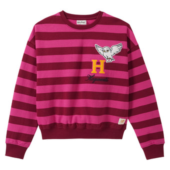 Harry Potter Sweatshirt mit Streifen