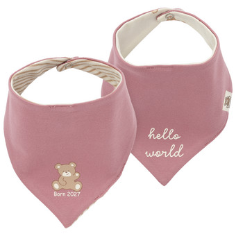 2 Baby Bandanas Born 2027