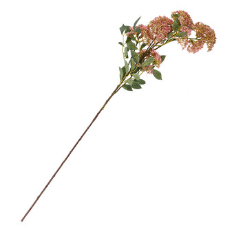 Kunstblume Trachelium