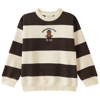 Jungen Sweatshirt mit Blockstreifen