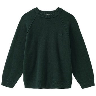 Jungen Strickpullover mit kleiner Stickerei
