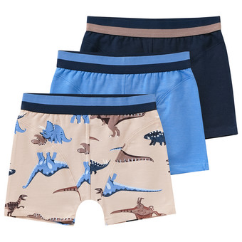 3 Jungen Boxer mit Dino-Motiven