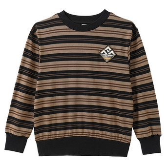 Jungen Langarmshirt mit Ringeln
