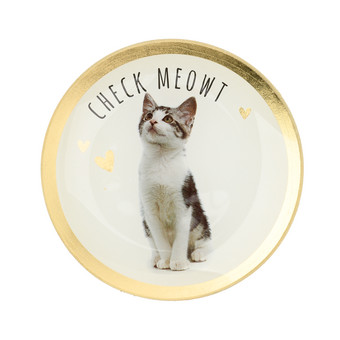 Kleiner Deko-Teller mit Katzen-Motiv