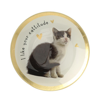 Kleiner Deko-Teller mit Katzen-Motiv