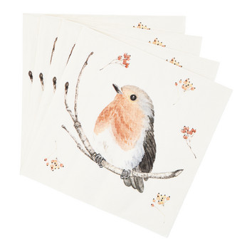 20 Servietten mit Vogel-Motiven