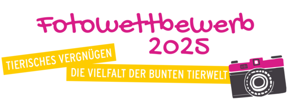 Fotowettbewerb 2025 Tierisches Vergnügen